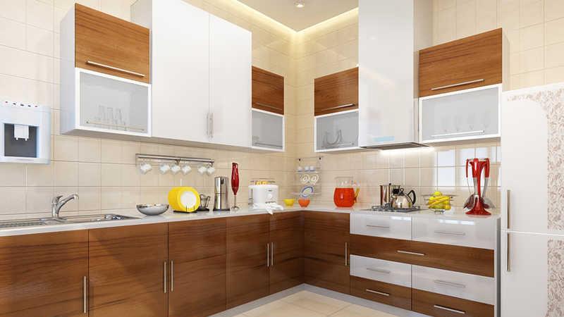 Vertical Alcinia - Kitchen